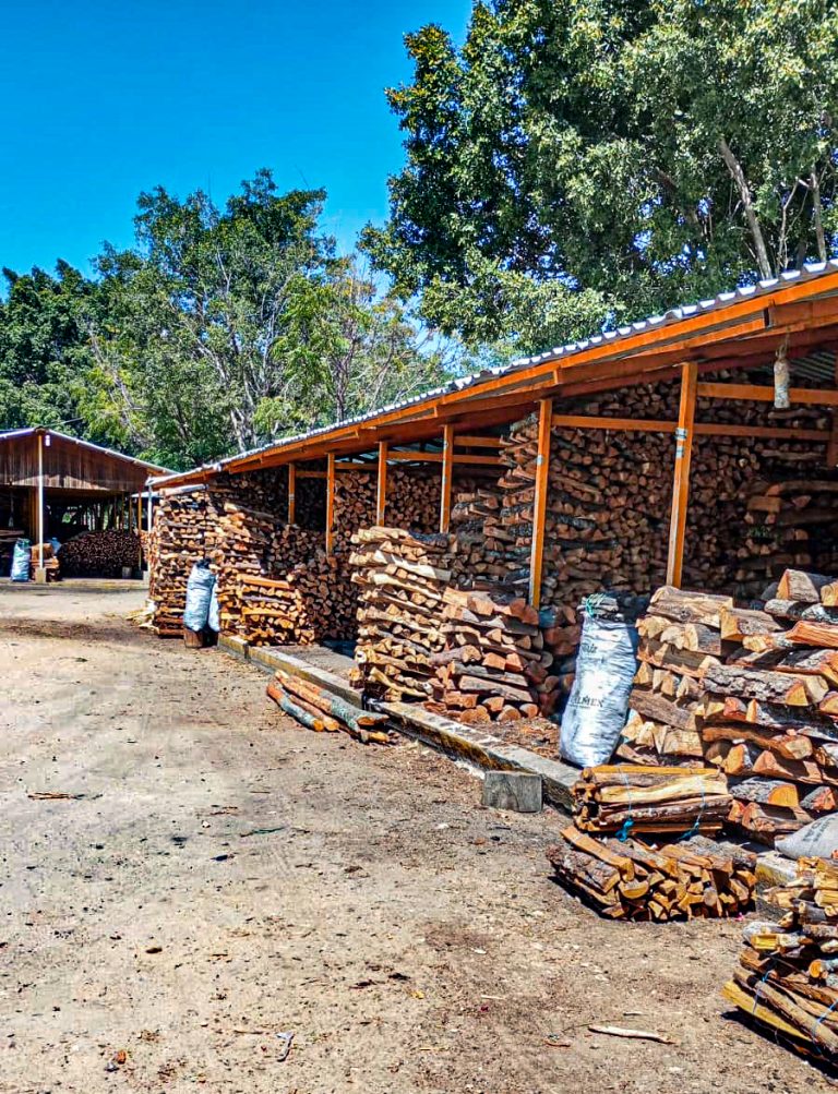 WhatsApp Image 2025 02 27 at 12.28.03 768x1003