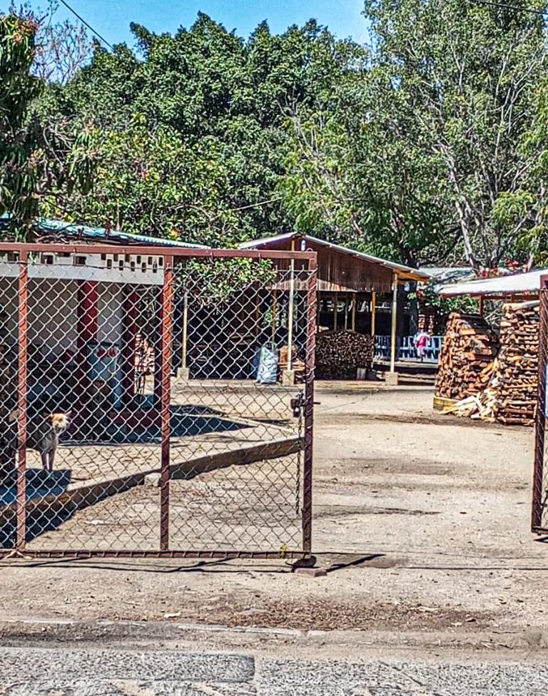 WhatsApp Image 2025 02 27 at 12.28.041 768x976