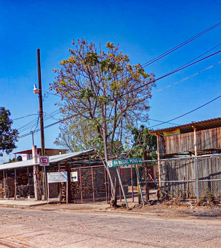 WhatsApp Image 2025 02 27 at 12.28.042 1 768x861