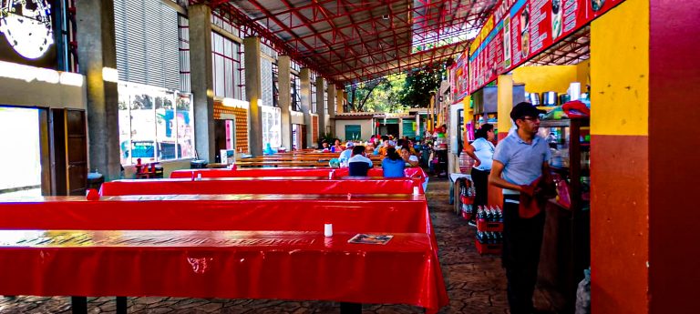 WhatsApp Image 2025 02 27 at 12.28.044 768x345