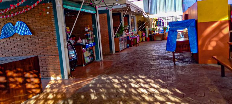 WhatsApp Image 2025 02 27 at 12.28.045 768x345