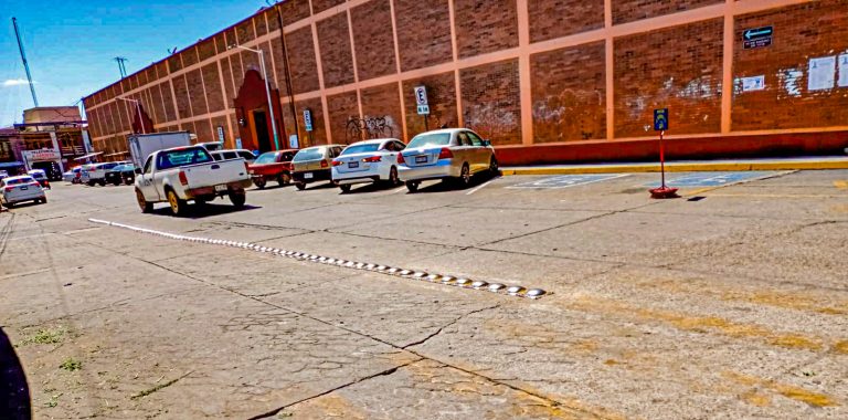 WhatsApp Image 2025 02 27 at 12.28.055 768x380