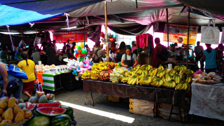 WhatsApp Image 2025 02 27 at 12.30.32 768x432