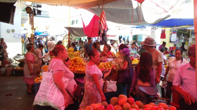 WhatsApp Image 2025 02 27 at 12.30.33 768x432