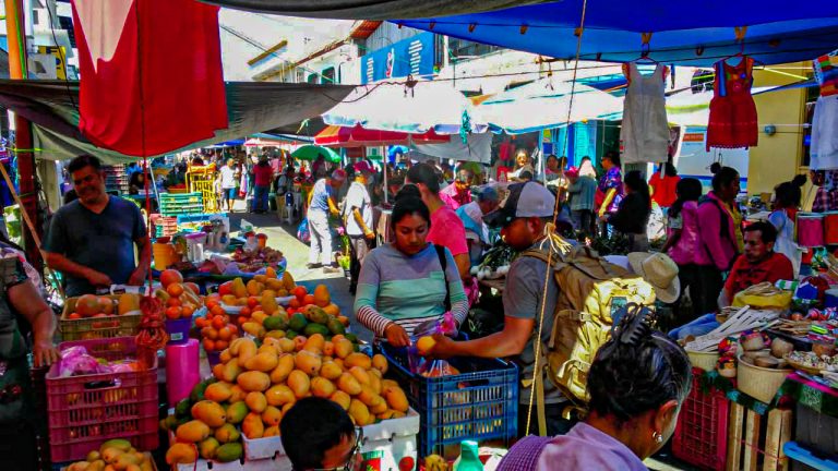 WhatsApp Image 2025 02 27 at 12.30.331 1 768x432