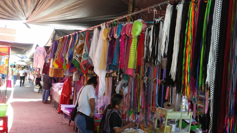 WhatsApp Image 2025 02 27 at 12.30.333 768x432