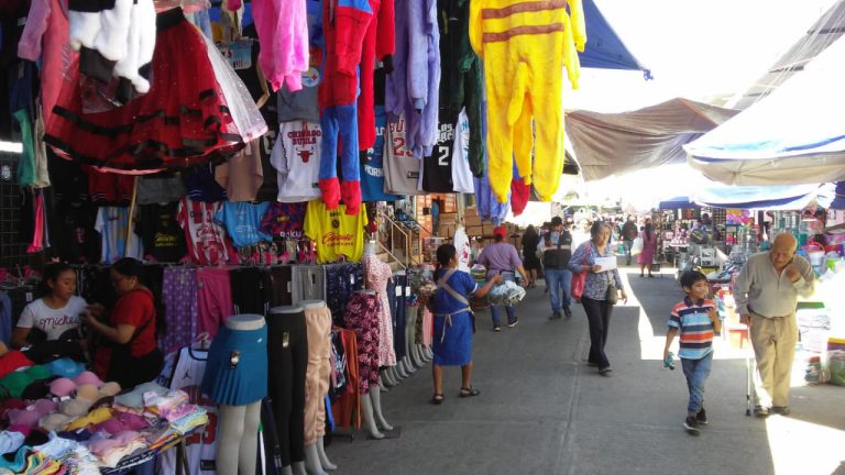 WhatsApp Image 2025 02 27 at 12.30.335 768x432