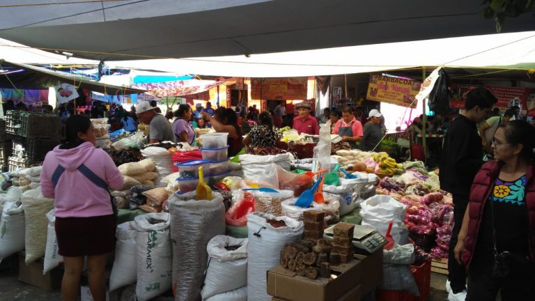 WhatsApp Image 2025 02 27 at 12.30.34 768x432