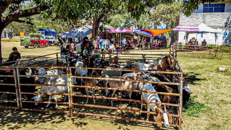 WhatsApp Image 2025 02 27 at 13.50.22 1 768x432