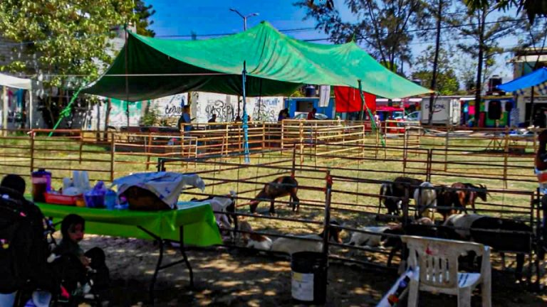 WhatsApp Image 2025 02 27 at 13.50.23 768x432