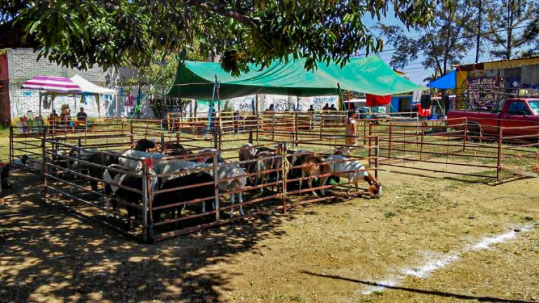 WhatsApp Image 2025 02 27 at 13.50.231 768x432