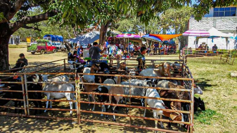 WhatsApp Image 2025 02 27 at 13.50.232 768x432