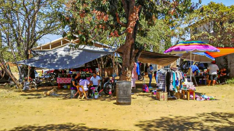 WhatsApp Image 2025 02 27 at 13.50.233 768x432