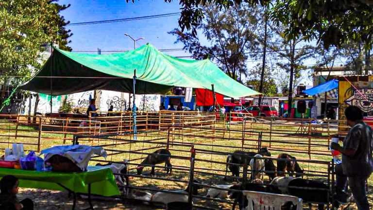 WhatsApp Image 2025 02 27 at 13.50.24 768x432