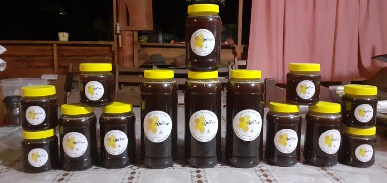 WhatsApp Image 2025 04 02 at 1.12.55 PM 1 768x364